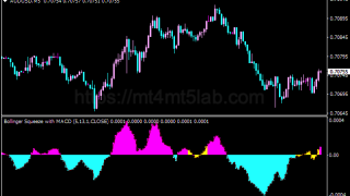 Bollinger Bands Squeeze with MACD MT4指标:动量与震荡判断及使用方法