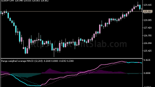 Range Weighted Average MACD MT5指标:动量与震荡判断及使用方法
