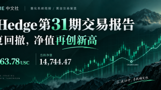 P-Hedge 动态对冲量化系统交易报告 31期，账户净值突破新高！