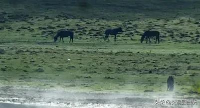 干货推荐！外汇史上最实用的20个交易技巧！（全程干货）外汇交易实战快速入门，