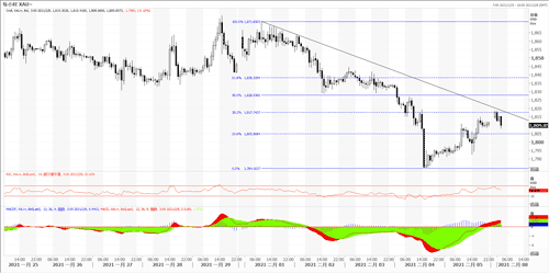 20210208—美国非农强差人意 黄金应声反弹