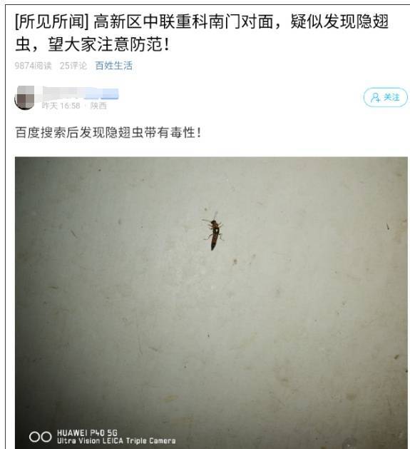 西安多区发现隐翅虫？千万别拍！毒液堪比硫酸（这都可以？）隐翅虫可怕吗，