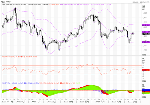 20210819—会议纪要”鸽”气依旧 黄金小幅上升以对