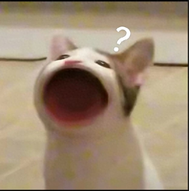 第三章 外汇（一）（原创）外汇基本入门知识，