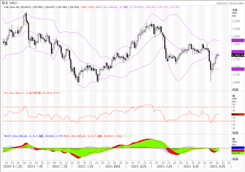 20210818—避险情绪助美元升 黄金连升势头遭抑制