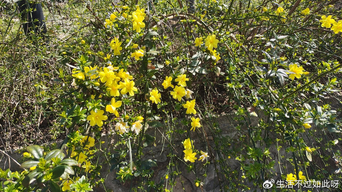 如果70-80岁了，还能做到这几点，你可能是万里挑一的老人（万万没想到）70多岁的老人该怎么过晚年，