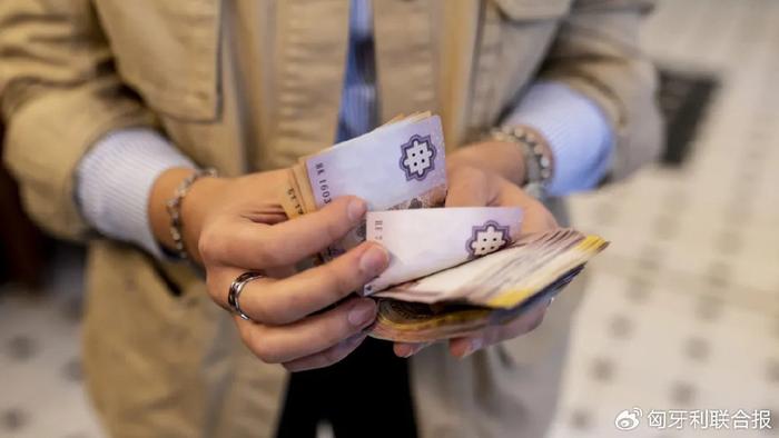 匈牙利各类文凭的收入回报率是多少？（居然可以这样）匈牙利留学生活费一个月大概多少，