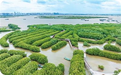 碳市场2.0，中国这样布局（没想到）全国碳市场的规划，