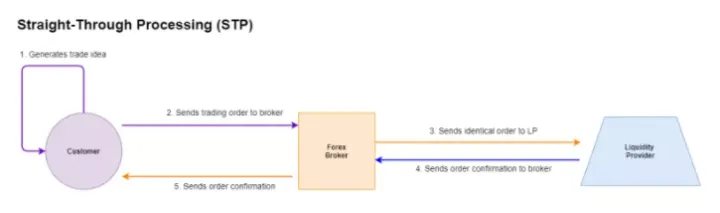 STP 交易模式：外汇经纪商如何管理风险