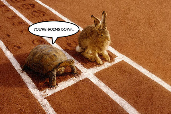 为什么交易纪律是持续盈利的关键？