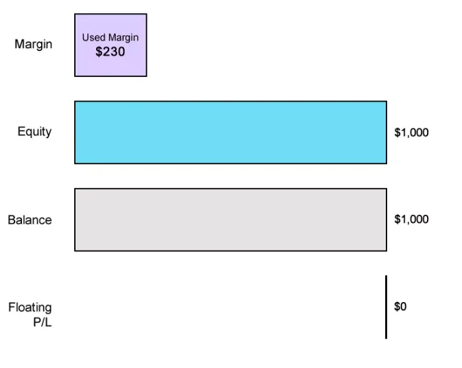 交易场景：追加保证金水平为 100% 且没有单独的止损水平