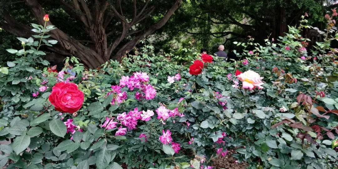 财务如何避免转错账付错款？（干货分享）财务转错账又追回来了还要处理吗，