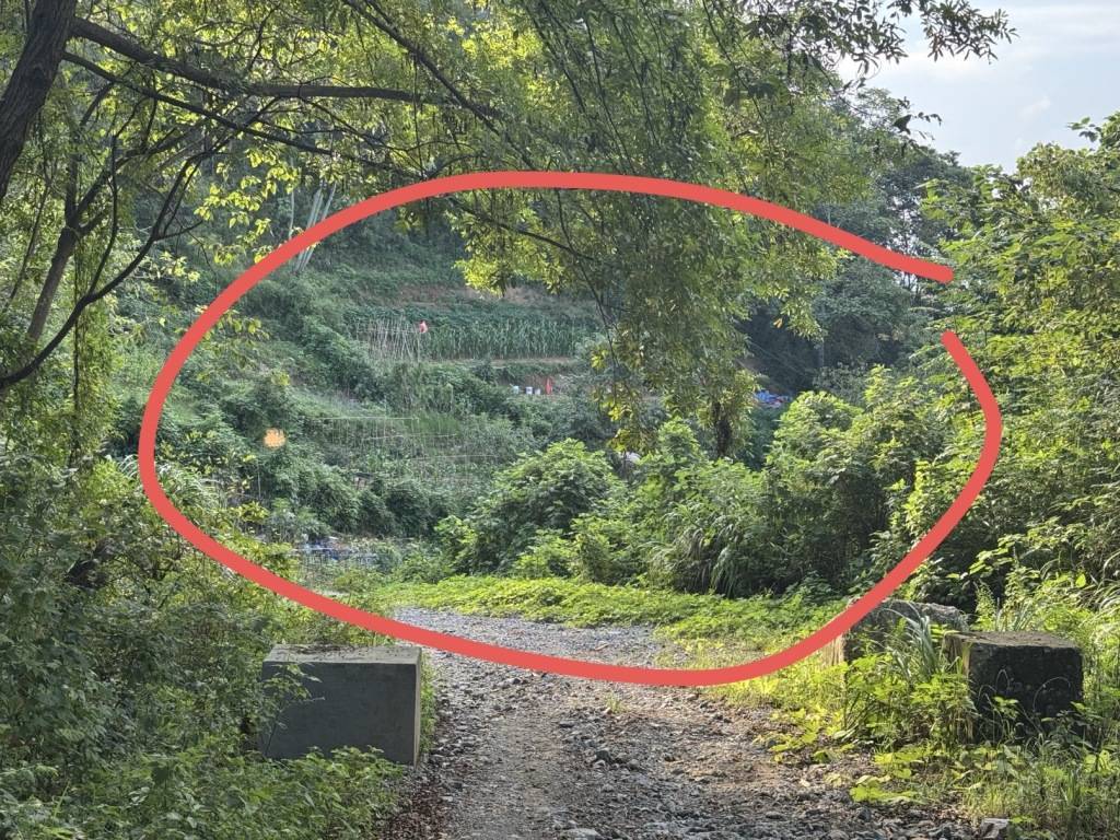 探访52岁女子误触氢氟酸身亡事发地，丈夫：已在老家给妻子办丧事（干货满满）氢氟酸的危害性，